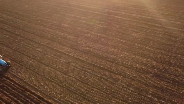 Agricultor Com Trator Nivelando Terras Interior Piacenza Itália Imagens — Vídeo de Stock