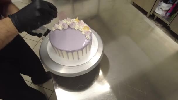 Cake Designer Topping Lilac Cake — Stock Video