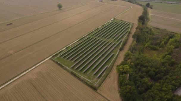 Zonnepanelen Agri Boerderij Met Zonlicht Schone Elektriciteit Creëren — Stockvideo