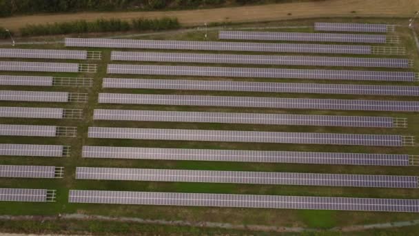 Zonnepanelen Agri Boerderij Met Zonlicht Schone Elektriciteit Creëren — Stockvideo