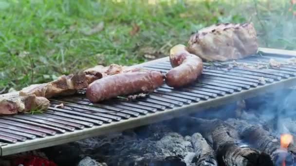 夏のコンセプトで屋外で肉を焼く — ストック動画