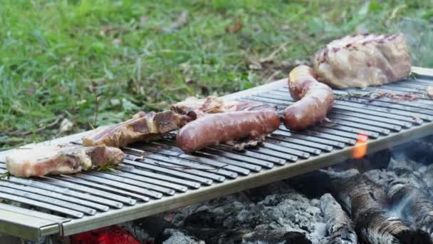 夏のコンセプトで屋外で肉を焼く — ストック動画