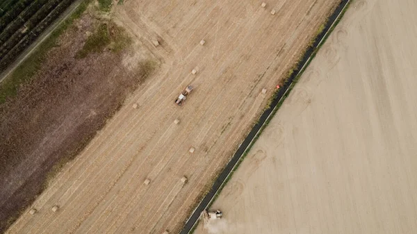 A tractor picks haystacks, top view.