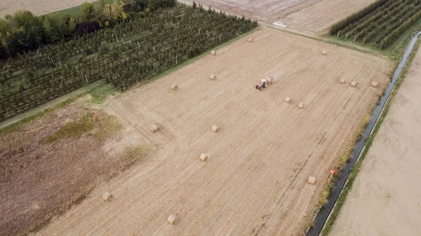 A tractor picks haystacks, top view.