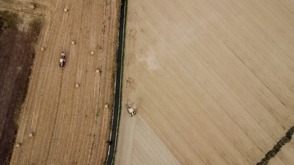 Drone Skyder Video Landskab Landbrugsjord Voksende Naturlig Sund Mad - Stock-foto