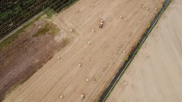 A tractor picks haystacks, top view.