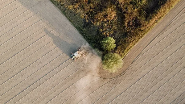 Drone Pousse Paysage Vidéo Terres Agricoles Culture Aliments Naturels Sains — Photo