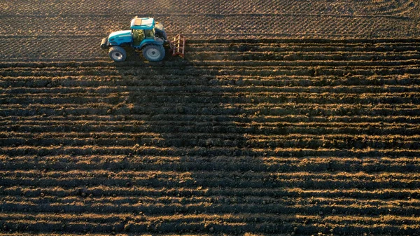 Taşrada araziyi düzleştiren traktörlü çiftçi.