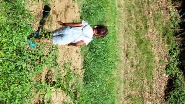 Little Kid Farm Wearing Denim Salopette Caring Growth Veggies — Stock Video