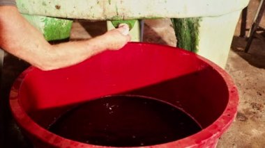 Yerel kıdemli çiftçi kırmızı şarap filtreleme evde şişeleme önce bitirme