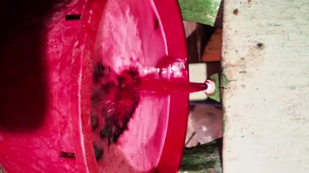 Yerel Kıdemli Çiftçi Kırmızı Şarap Filtreleme Evde Şişeleme Önce Bitirme — Stok video