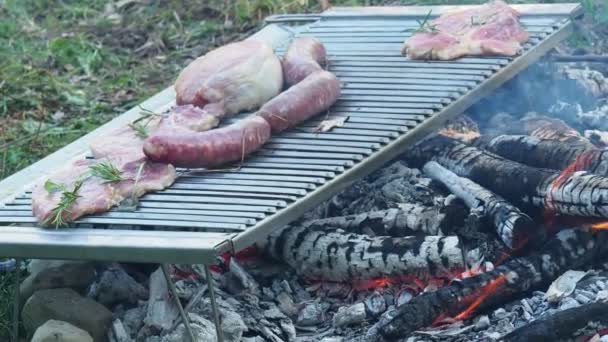 Grillowanie Mięsa Świeżym Powietrzu Koncepcji Letniej — Wideo stockowe