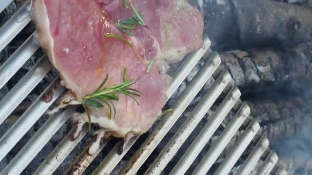 Grilling Meat Outdoors Summertime Concept — Stock Video