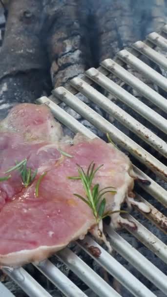 Fleisch Sommer Freien Grillen — Stockvideo