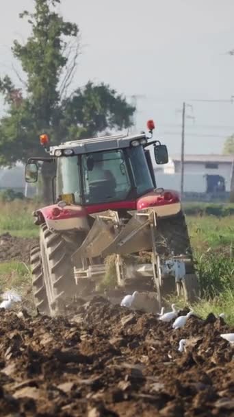 Video Del Tractor Rojo Arando Tierra Campo — Vídeo de stock