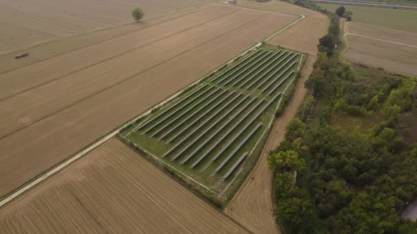 Panele Słoneczne Gospodarstwie Rolnym Oświetleniem Słonecznym Tworzenia Czystej Energii Elektrycznej — Wideo stockowe