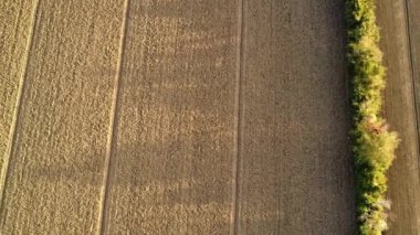 Piacenza 'nın kırsal kesiminde araziyi düzleştiren traktörlü çiftçi, İtalya görüntüsü