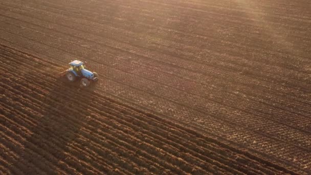 Agricultor Con Terreno Nivelado Tractor Campo Piacenza Italia Material Archivo — Vídeo de stock