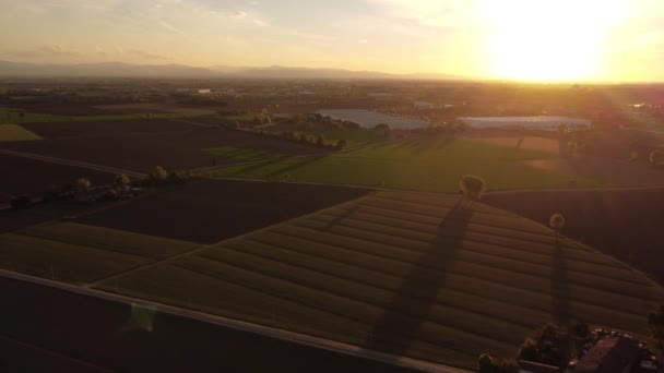 Agricultor Con Terreno Nivelado Tractor Campo Piacenza Italia Material Archivo — Vídeo de stock