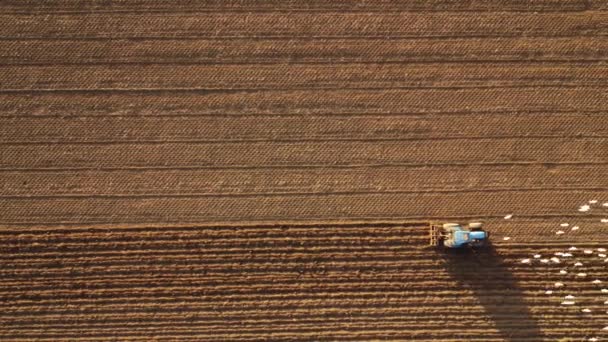 イタリアのピアチェンツァの田舎にトラクターの平準化土地を持つ農家の映像 — ストック動画
