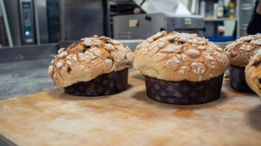 Bir grup panettone keki fırının profesyonel fırınında pişiriliyor.