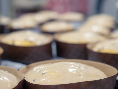 Esnaf şef tasarımcı tatlı kremalı panettone pastasını bitiriyor.