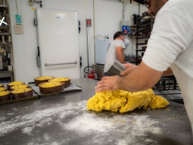 Bir grup pişmemiş panettone tatlı İtalyan chrstmas keki