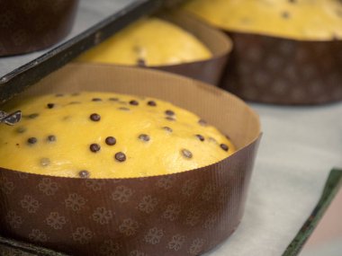 Bir grup pişmemiş panettone tatlı İtalyan chrstmas keki