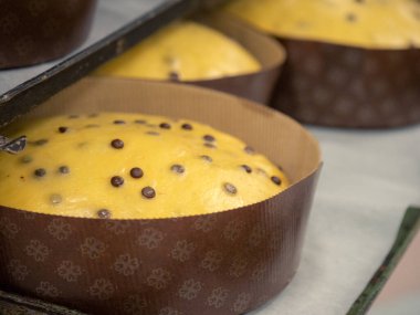 Bir grup pişmemiş panettone tatlı İtalyan chrstmas keki