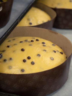 Bir grup pişmemiş panettone tatlı İtalyan chrstmas keki