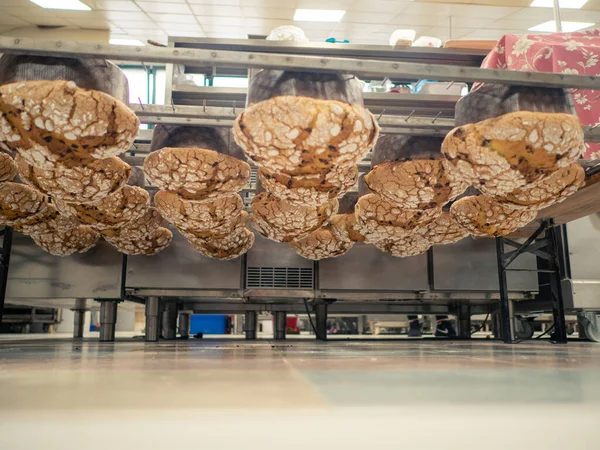 Panettone yemek pişirme sırları konsepti mutfakta asılı duruyor.