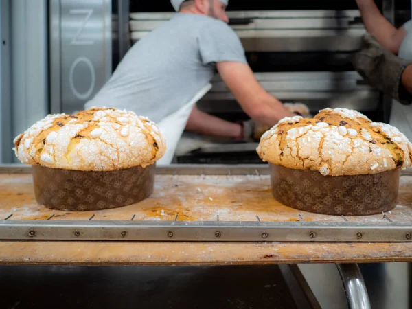 group of panettone cakes baking in the pro oven at the baker