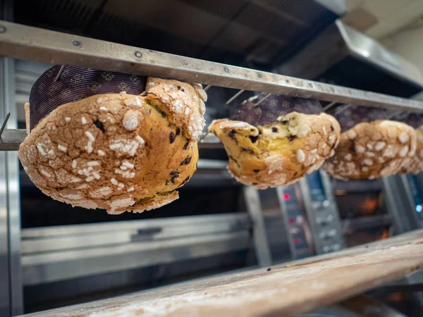 group of panettone cakes baking in the pro oven at the baker