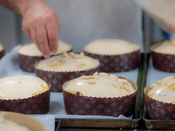 Chef Rematando Panettone Pastel Italiano Con Almendras — Foto de Stock