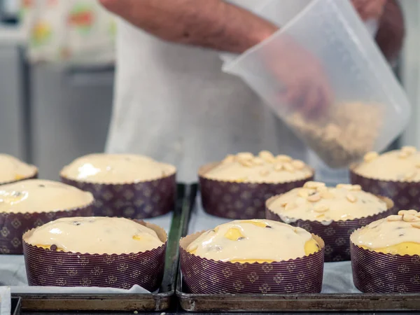 Chef Rematando Panettone Pastel Italiano Con Almendras — Foto de Stock