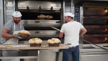 Bir grup panettone keki fırının profesyonel fırınında pişiyor.