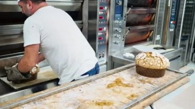 Bir grup panettone keki fırının profesyonel fırınında pişiyor.