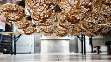 Panettone ekmeği pişirme sırları konsepti mutfakta asılı duruyor.