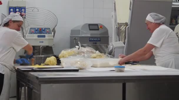 Donna Che Prepara Tortelli Stuf Pasta Gastronomia — Video Stock