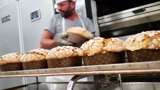 Bir Grup Panettone Keki Fırının Profesyonel Fırınında Pişiyor — Stok video
