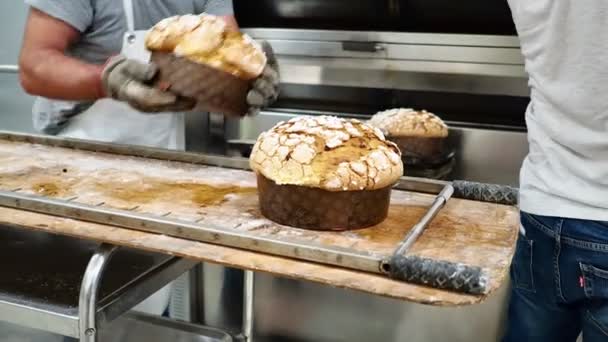 Ομάδα Κέικ Panettone Ψήσιμο Στο Pro Φούρνο Στο Αρτοποιείο Έτοιμο — Αρχείο Βίντεο