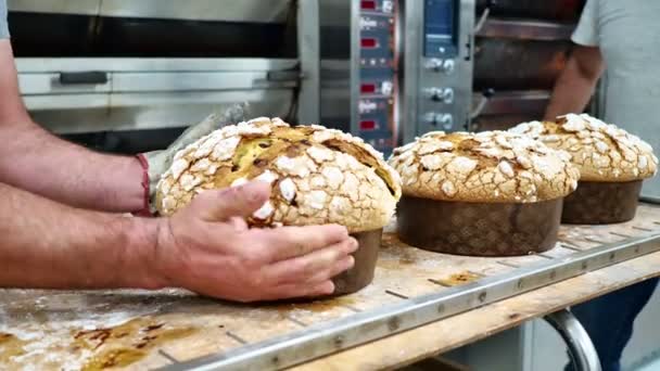 Ομάδα Κέικ Panettone Ψήσιμο Στο Pro Φούρνο Στο Αρτοποιείο Έτοιμο — Αρχείο Βίντεο