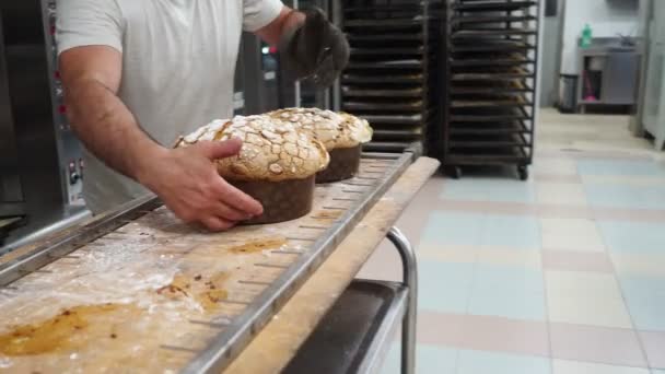 Kelompok Panettone Kue Dalam Oven Pro Toko Roti Siap — Stok Video