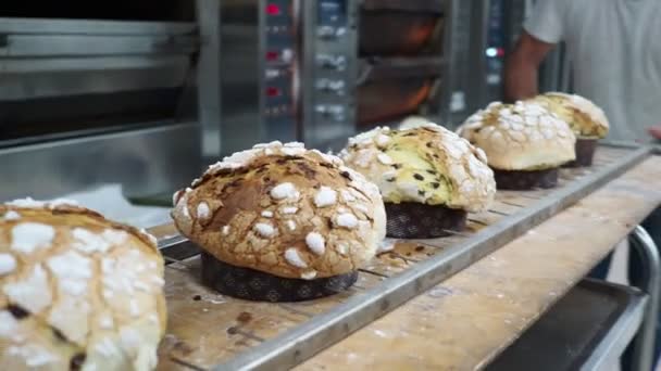 Panettone Ekmeği Pişirme Sırları Konsepti Mutfakta Asılı Duruyor — Stok video