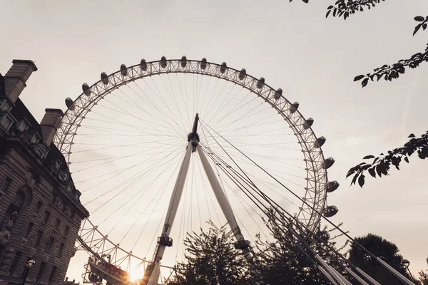 Olho de Londres de tarde — Fotografia de Stock