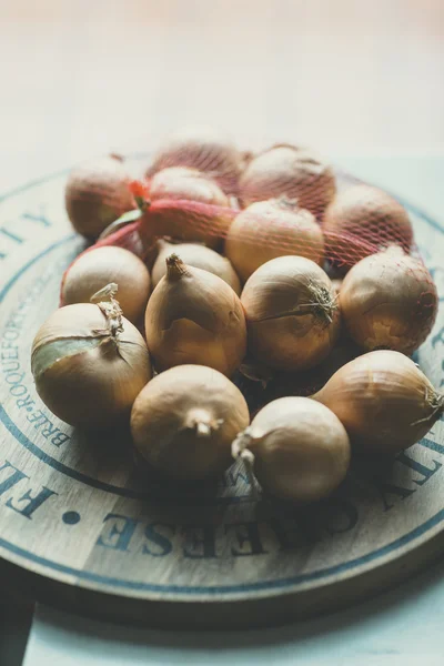 Ramo de cebollas marrones — Foto de Stock