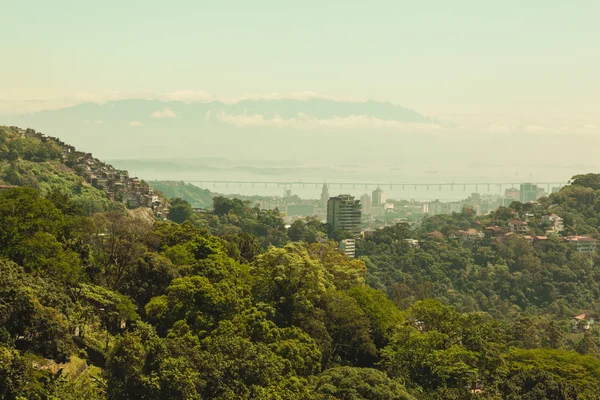Δάσος και πόλη με θέα πάνω από το Ρίο — Φωτογραφία Αρχείου