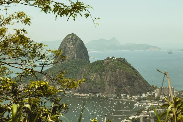 Sockertoppen från corcovado — Stockfoto