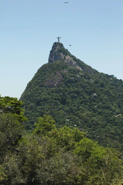 Statuę Chrystusa Zbawiciela na szczycie tijuca forest — Zdjęcie stockowe