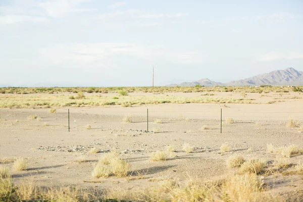 Dry desert landscape in Arizona — Stock Photo, Image